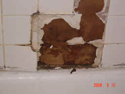 soap dish removed - the wall was saturated with water.
