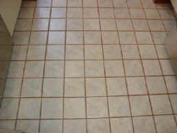 Floor - Before Grout Coloring